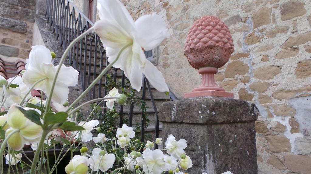 Casa Vacanze Villa Maria Anghiari Exterior foto