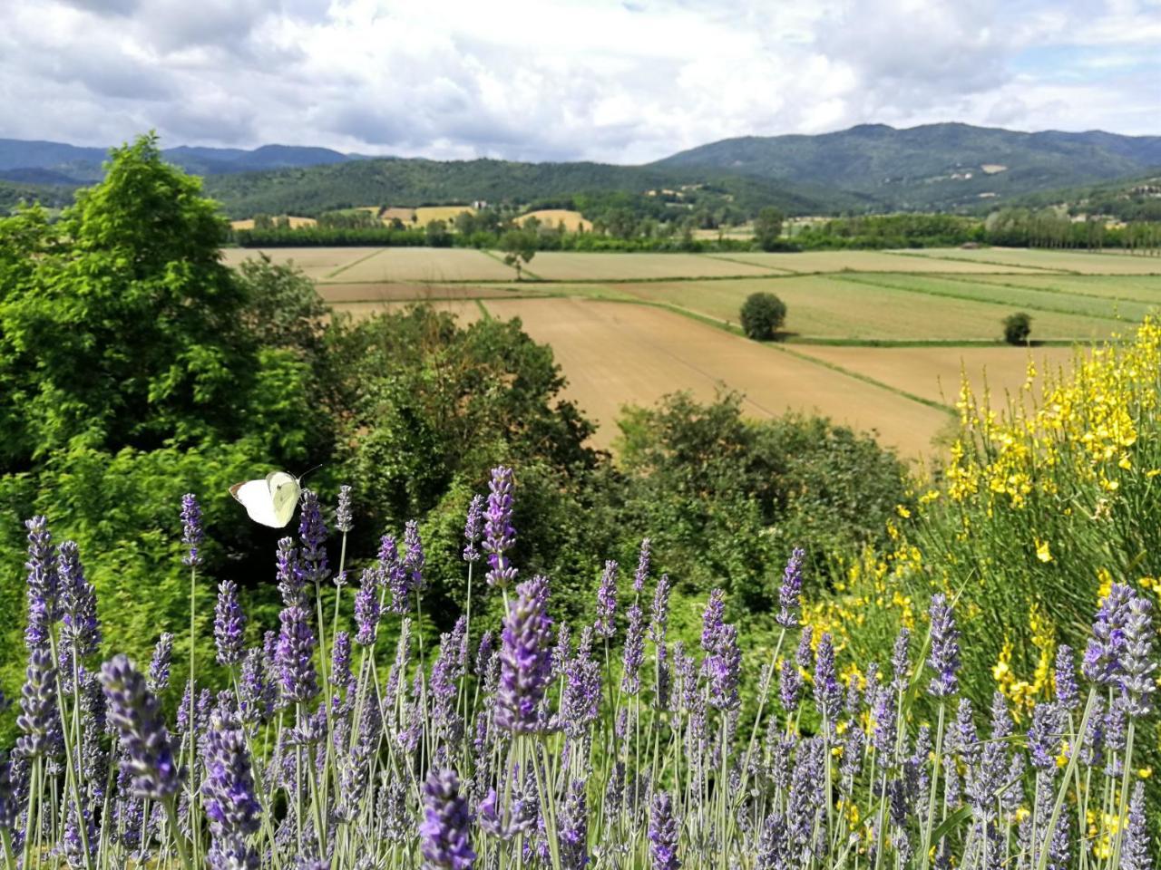 Casa Vacanze Villa Maria Anghiari Exterior foto
